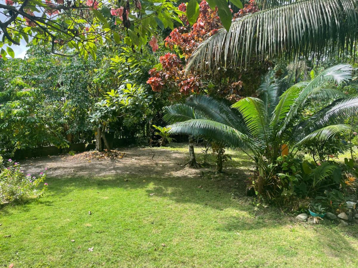 Cabanas Tucan Eco Hotel Capurganá Zewnętrze zdjęcie