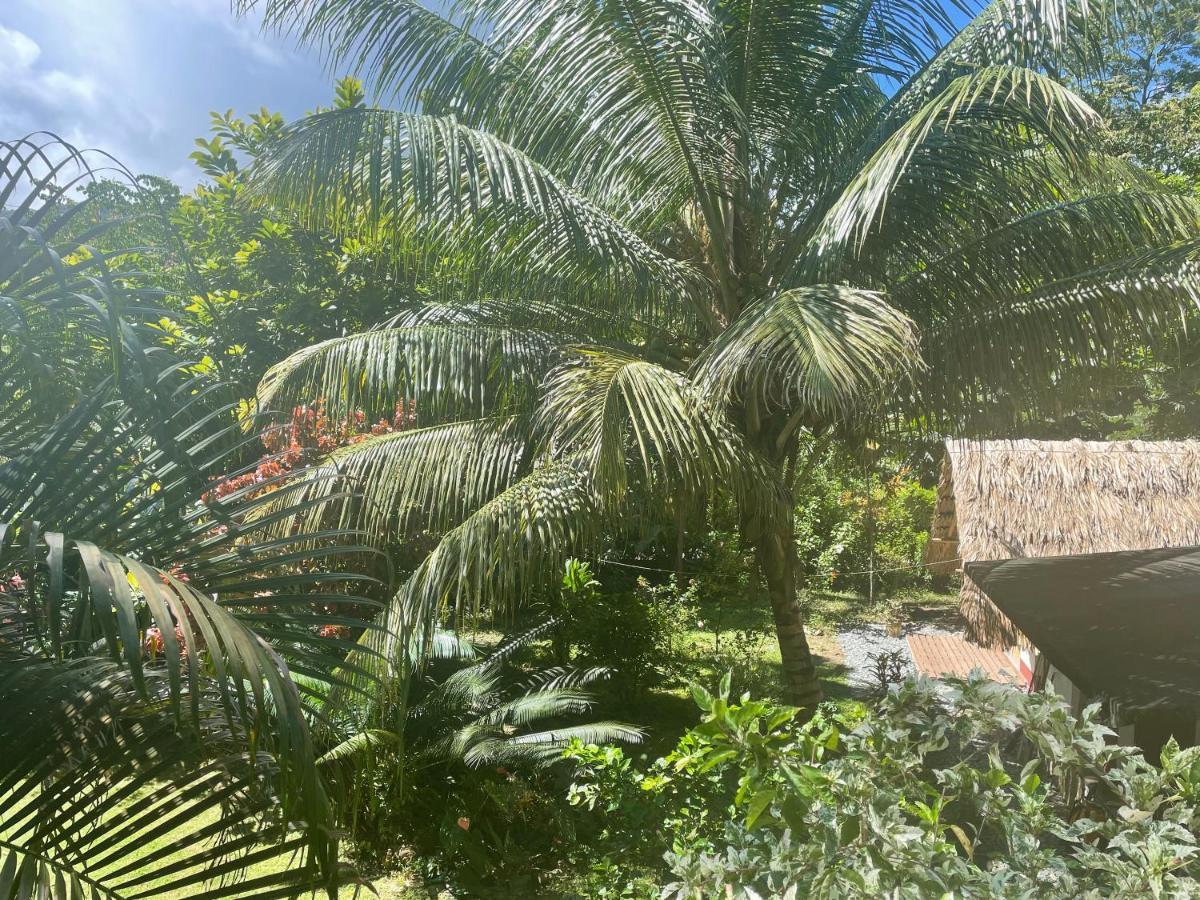 Cabanas Tucan Eco Hotel Capurganá Zewnętrze zdjęcie