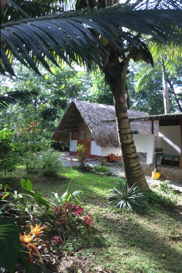 Cabanas Tucan Eco Hotel Capurganá Zewnętrze zdjęcie